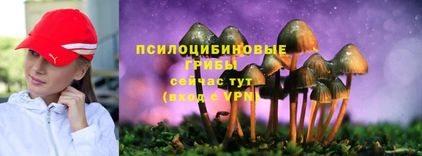 PSILOCYBIN Алексин