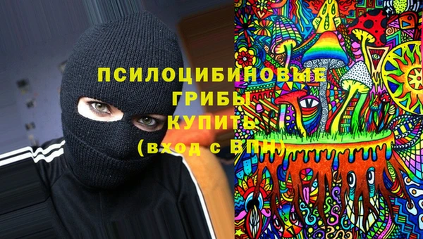 тгк Алексеевка