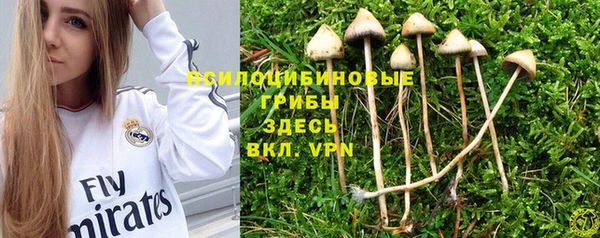 PSILOCYBIN Алексин