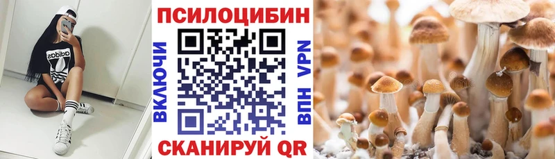 Псилоцибиновые грибы прущие грибы  Дудинка 